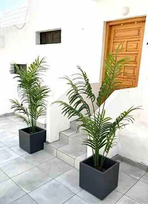 Blue Harmony Apartment Puerto Rico